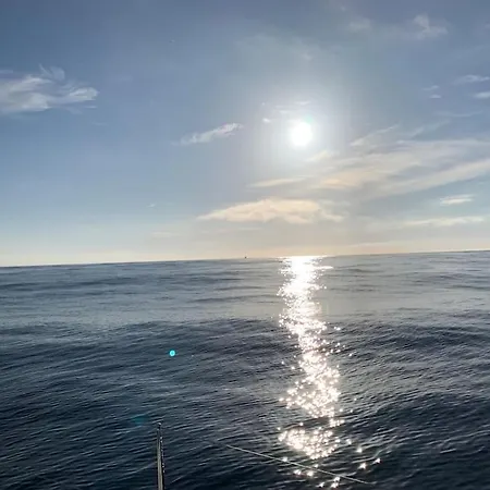 Tiny B Is Waiting For You! Båthotell