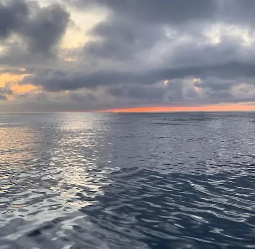 Tiny B Is Waiting For You!