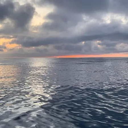 Tiny B Is Waiting For You!